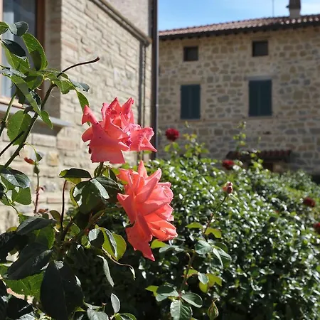 Agriturismo Ai Lecci Ramazzano - Le Pulci